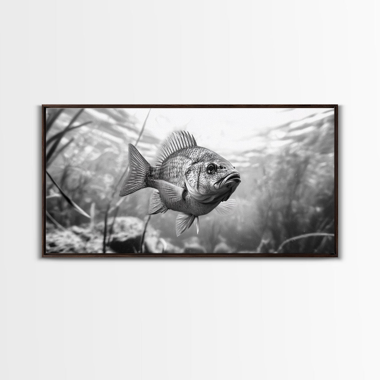 Underwater Fish, Nature Photography, Lake Life Scene, Freshwater Animal, Framed Canvas Print, Bathroom Wall Art, Minimalist Decor
