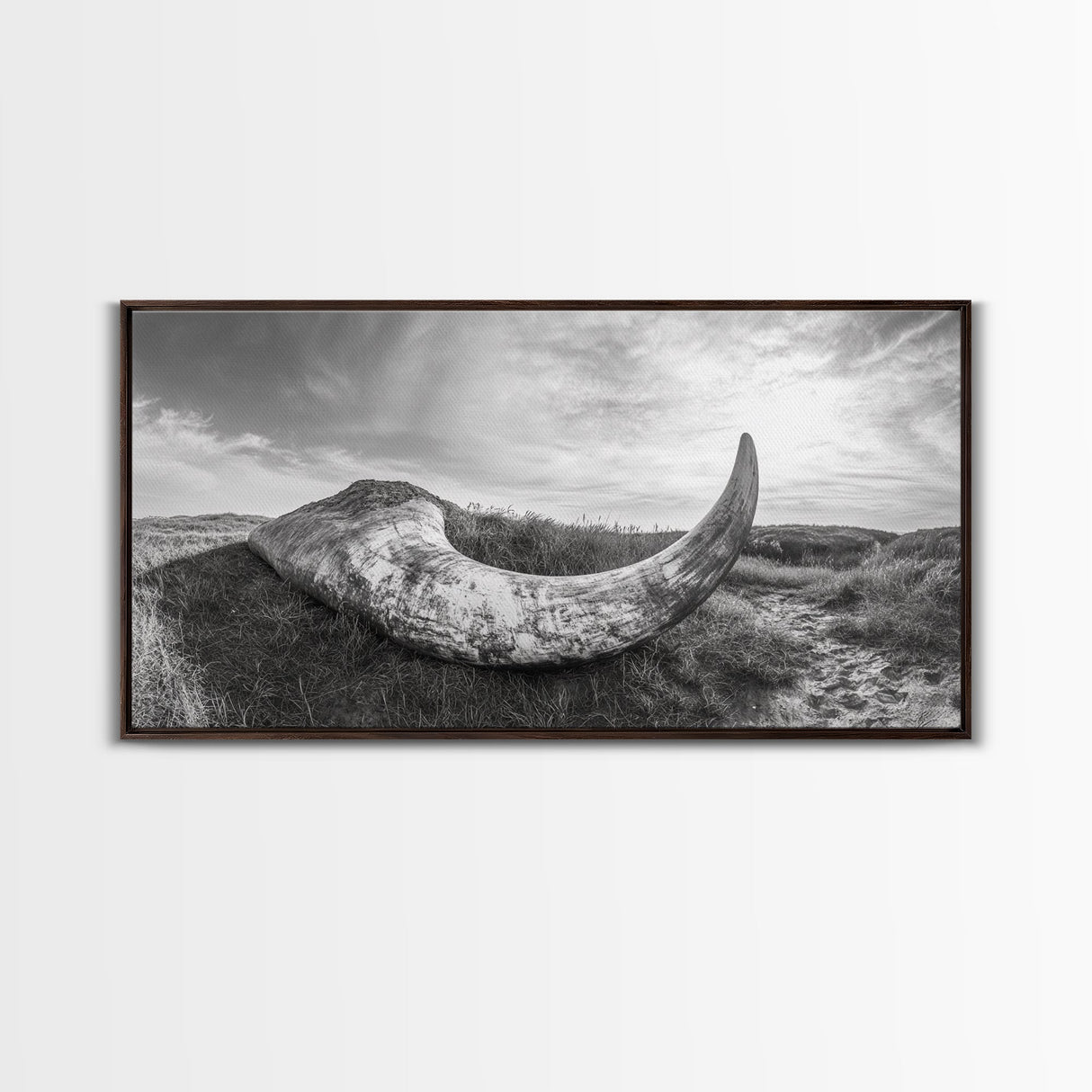 Driftwood Horn Curve, Coastal Nature Art, Whale Bone Decor, Beachside Minimalism, Canvas Print, Entryway Wall Art, Nautical Rustic Decor