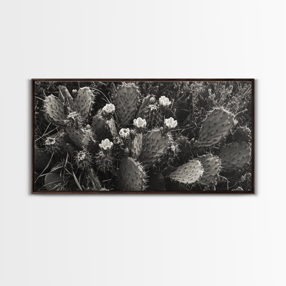 Cactus Blooms, Desert Flowers, Prickly Pear, Nature Closeup, Framed Canvas Print, Southwestern Art, Kitchen Wall Art, Boho Style