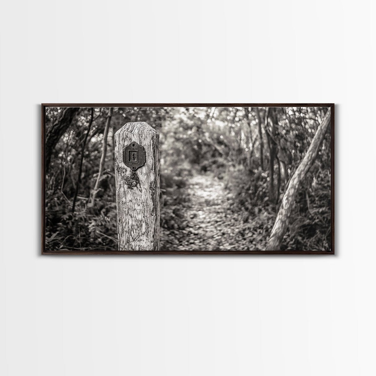 Trail Marker, Wooded Path, Rustic Forest, Natural Journey, Framed Canvas Print, farmhouse decor, nature lover gift, Autumn entryway art