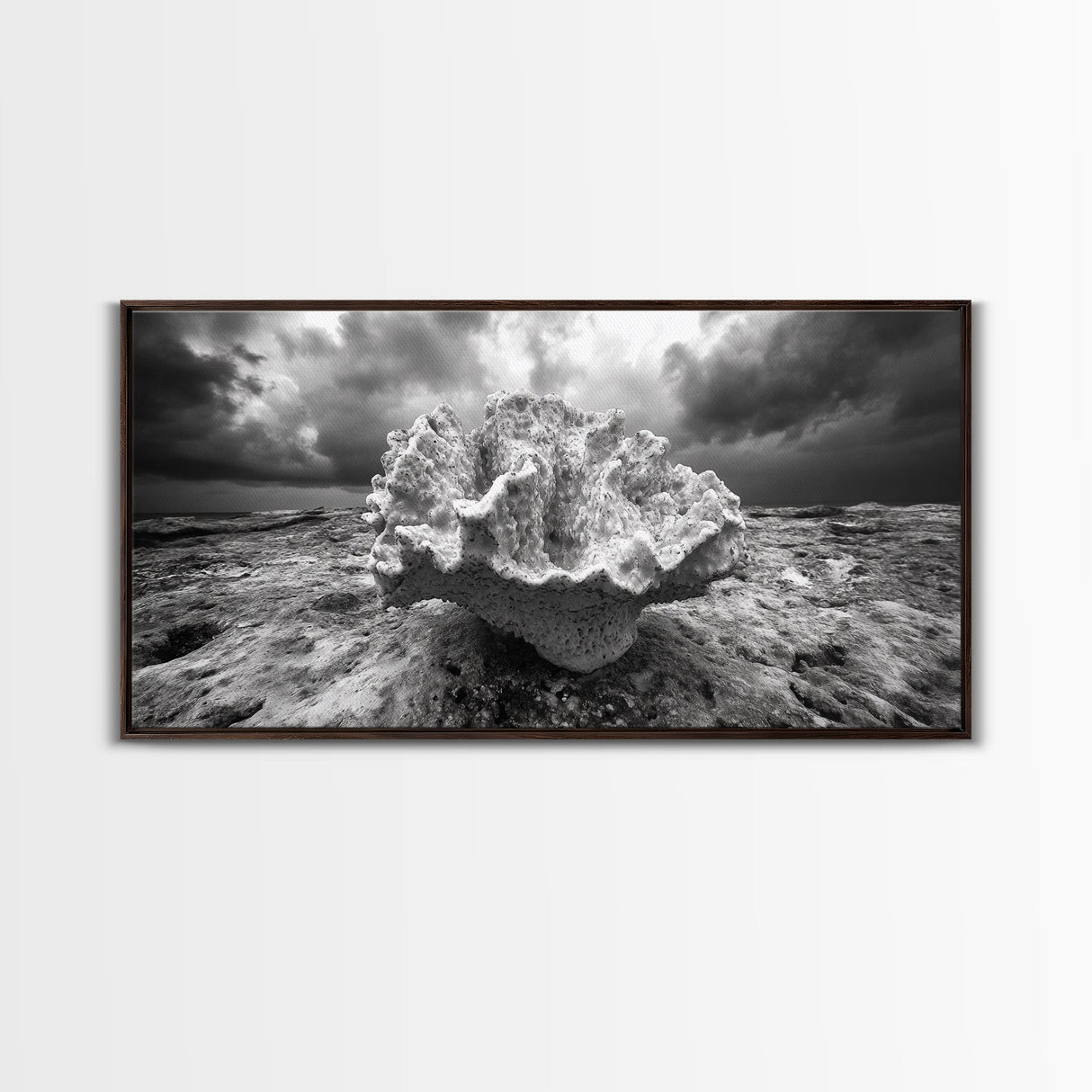 Coral Texture, Ocean Storm, Dramatic Sky, Sea Fossil, Framed Canvas Print, Coastal Nature Art, Fall Entryway Wall Decor, Cabin Wall Art