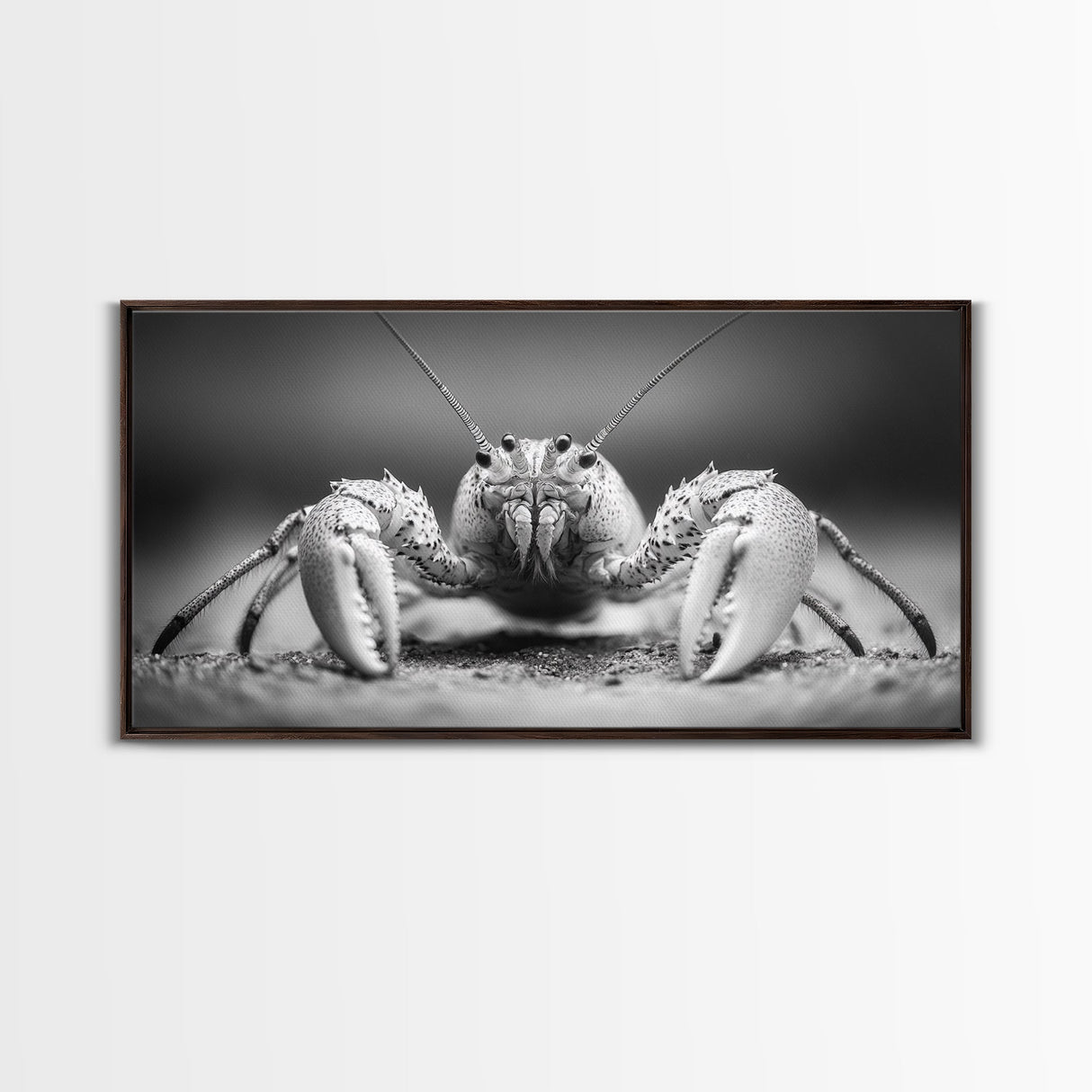 Hermit Crab, Close-Up, Ocean Creature, Monochrome Nature, Framed Canvas Print, Marine Wall Decor, Coastal Kitchen Wall Art, Entryway Accent