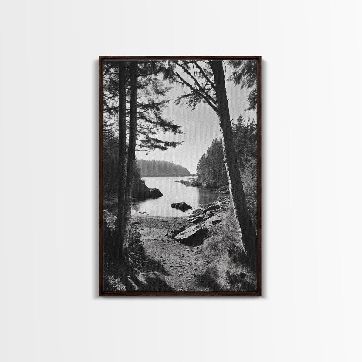 Woodland Cove Path, Tranquil Forest Scene, Nature Escape Art, Canvas Print, Cabin Wall Art, Coastal Boho Decor, Black White Landscape