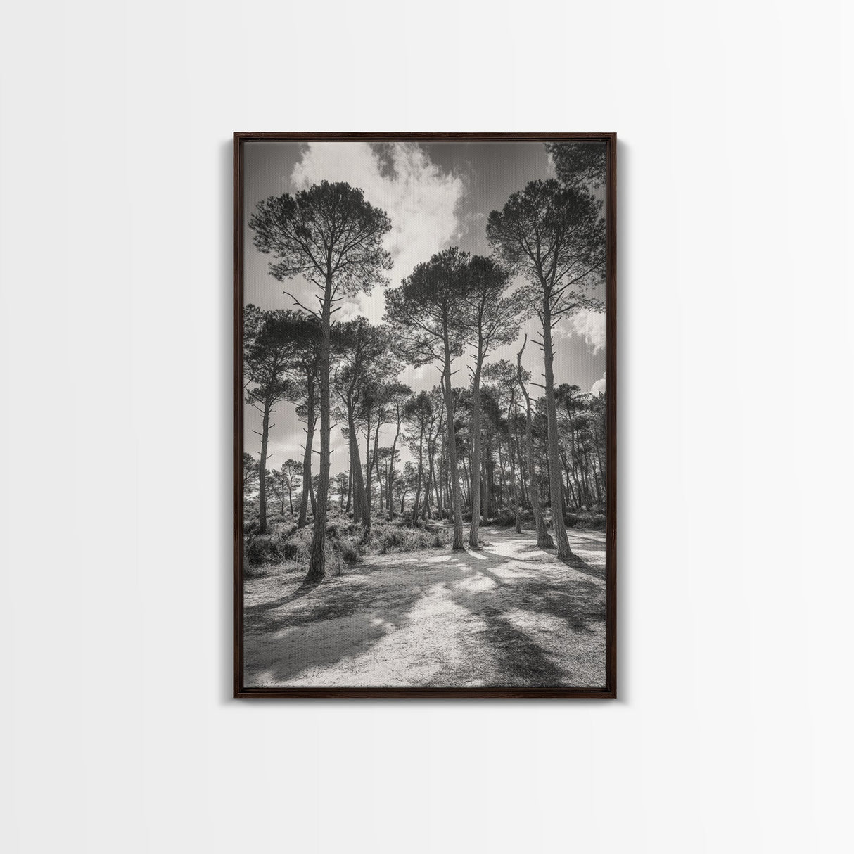 Forest Shadows, Tall Pines, Natural Light, Framed Canvas Print, woodland landscape, rustic cabin decor, autumn forest art