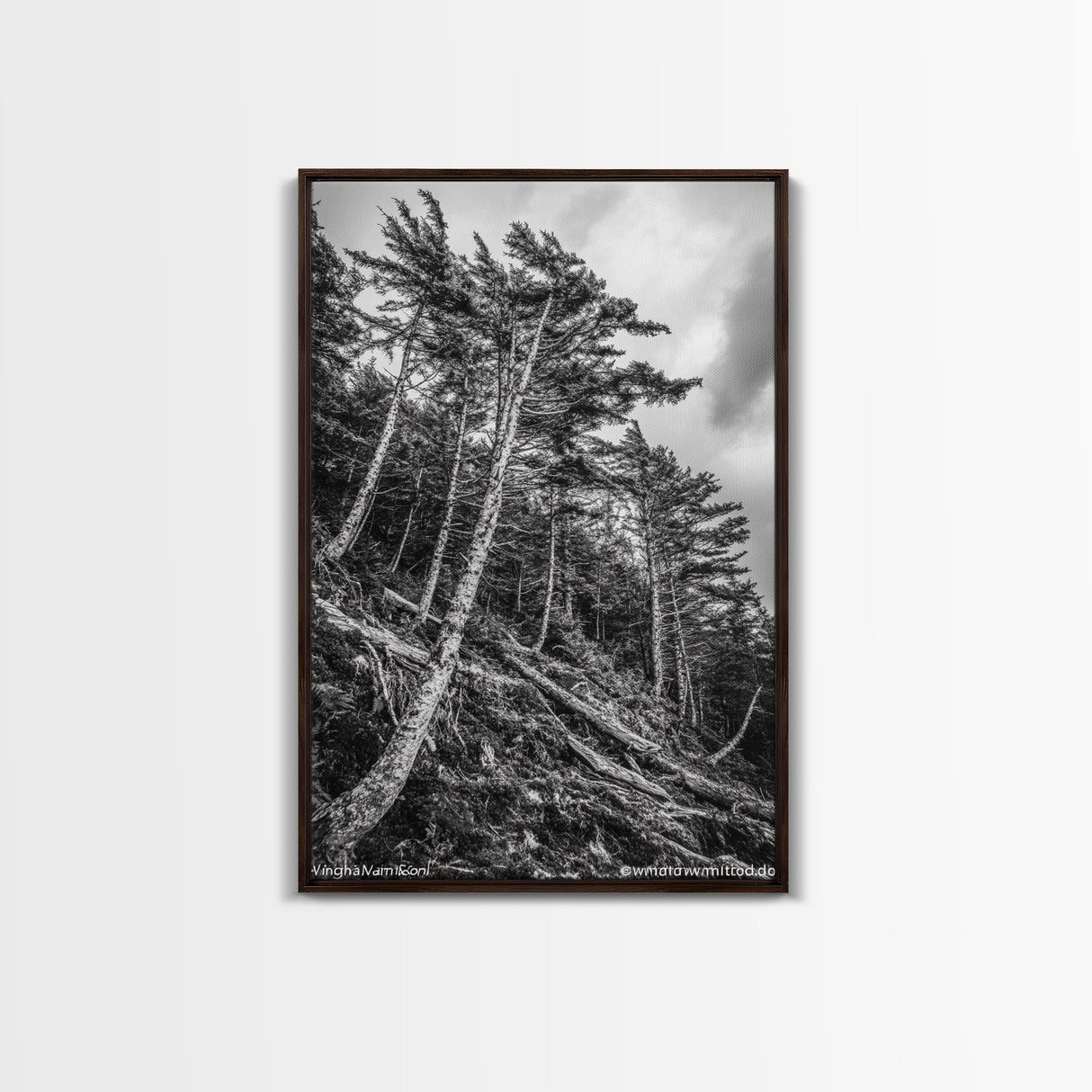 Windy Pines, Forest Landscape, Nature Photography, Framed Canvas Print, Rustic Wall Art, Cabin Decor, Minimalist Art, Fall Home Style