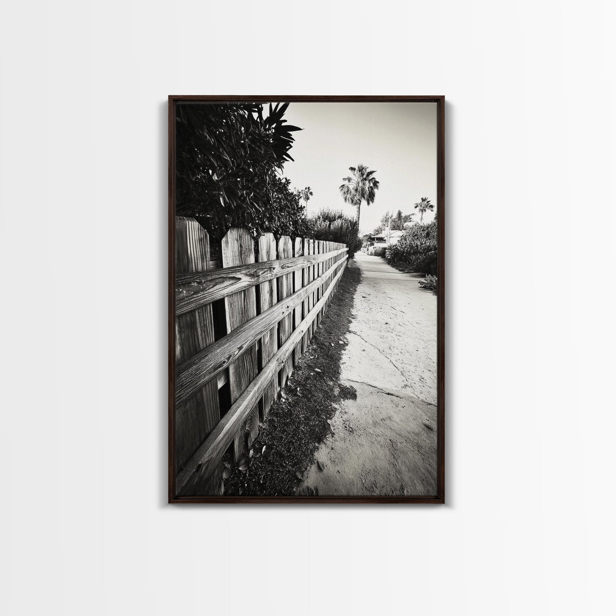 Palm Fence, California Pathway, Suburban Tranquility, Canvas Print, Outdoor Wall Art, Neutral Tones, Modern Minimalist Home Vibe