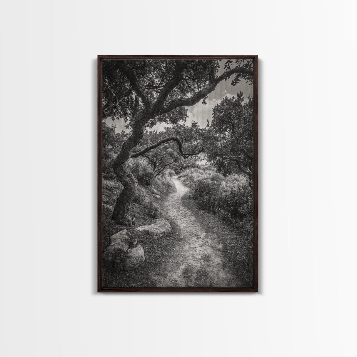 Forest Path, Twisting Trees, Nature Trail Scene, Framed Canvas Print, Earthy Wall Art, Boho Woodland Decor, Entryway or Hallway Accent