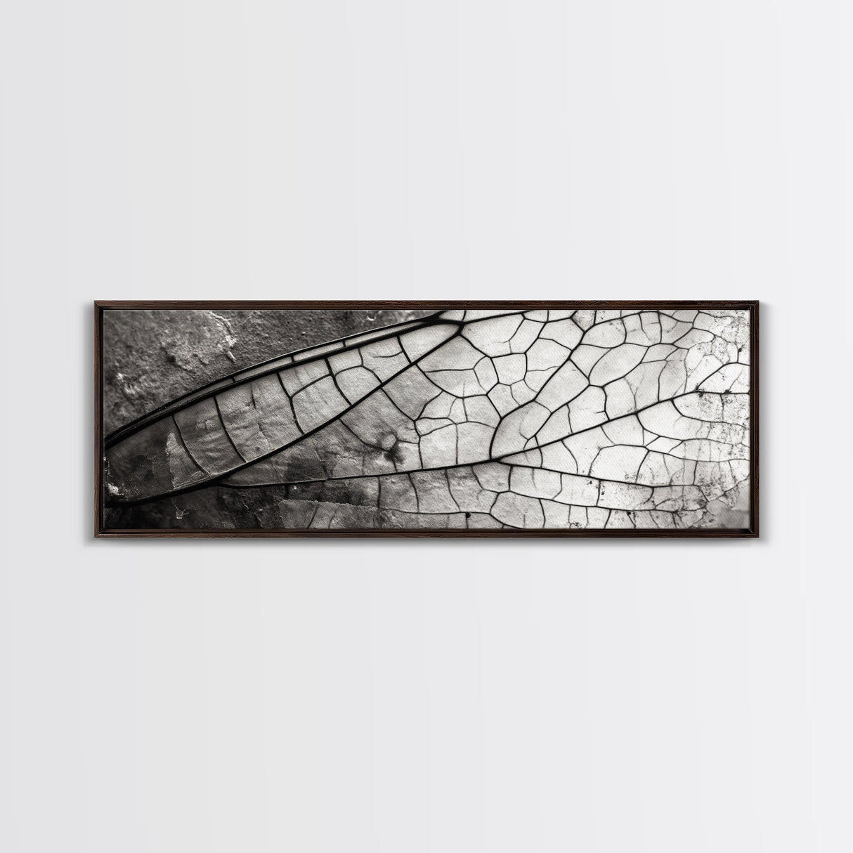 Macro Insect Wing, Abstract Nature Texture, Modern Neutral Wall Decor, Framed Canvas Print, Office Art, Monochrome Macro Photography