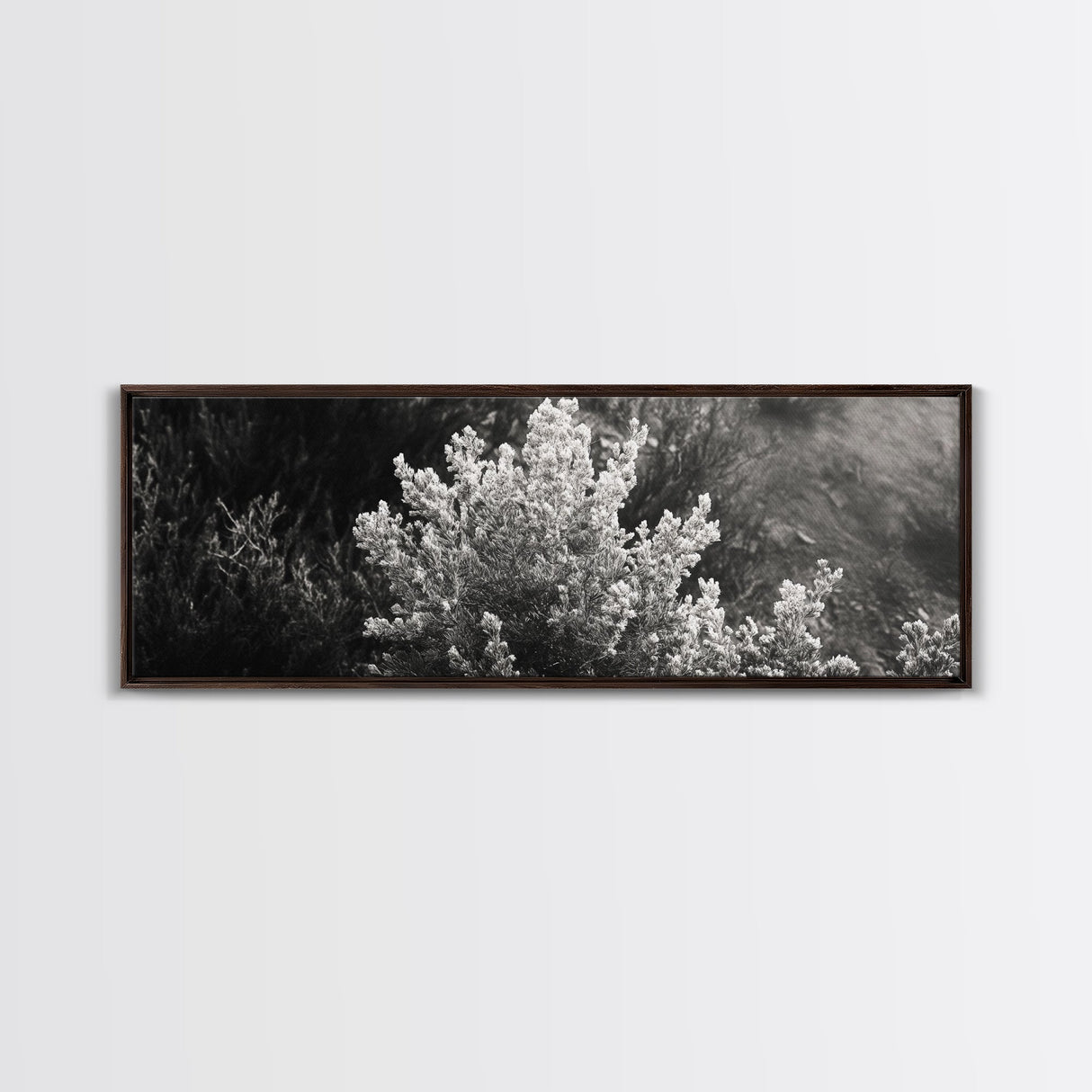 Frosted Bush, Winter Plant, Nature Closeup, Framed Canvas Print, Botanical Wall Art, Neutral Bedroom Decor, Rustic Autumn Style