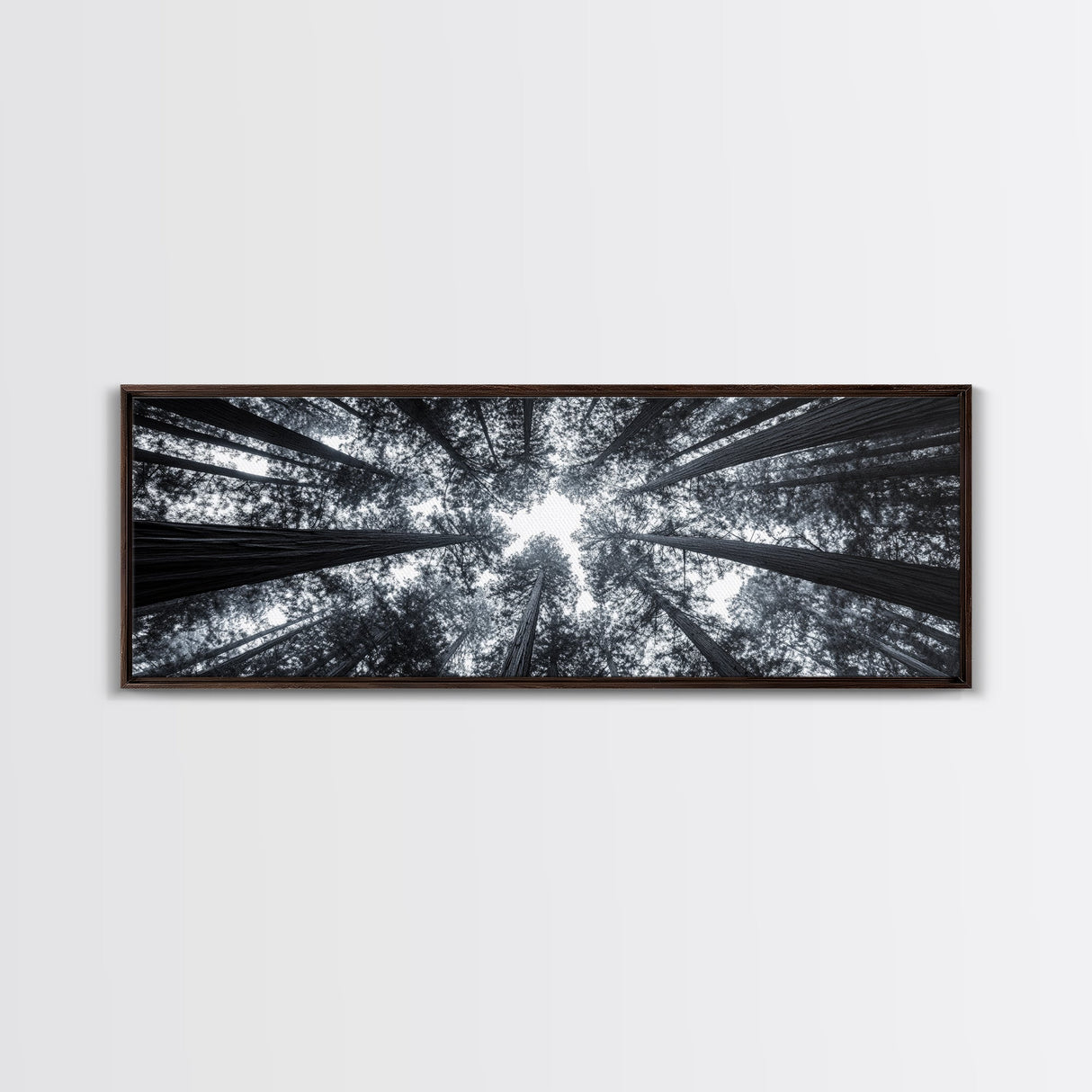 Redwood Trees, Forest Canopy, Looking Upward, Canvas Print, Black and White Nature Art, Meditation Room Decor, Minimalist Wall Art