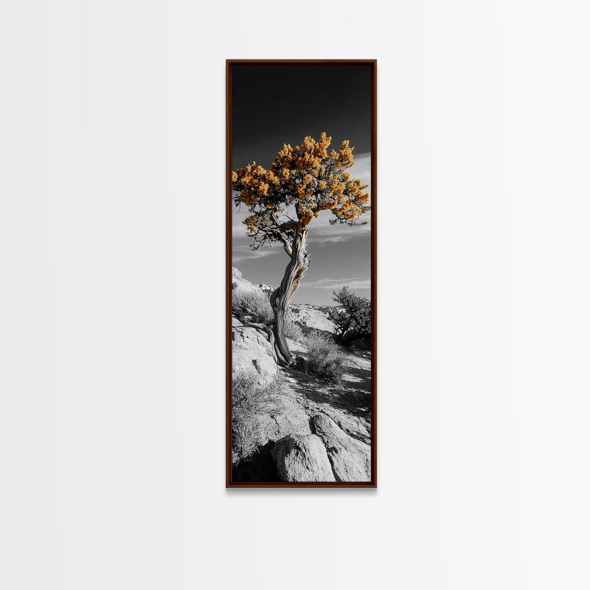 Twisted Tree, Desert Bloom, Rustic Wilderness, Nature Drama, Framed Canvas Print, Boho Living Room Wall Art, Moody Outdoor Style