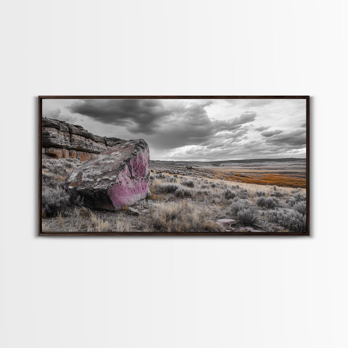 Painted Boulder, Wild Plains, Desert Glow, Framed Canvas Print, Fall Wall Art, Rustic Decor, Southwestern Art, Landscape Photography