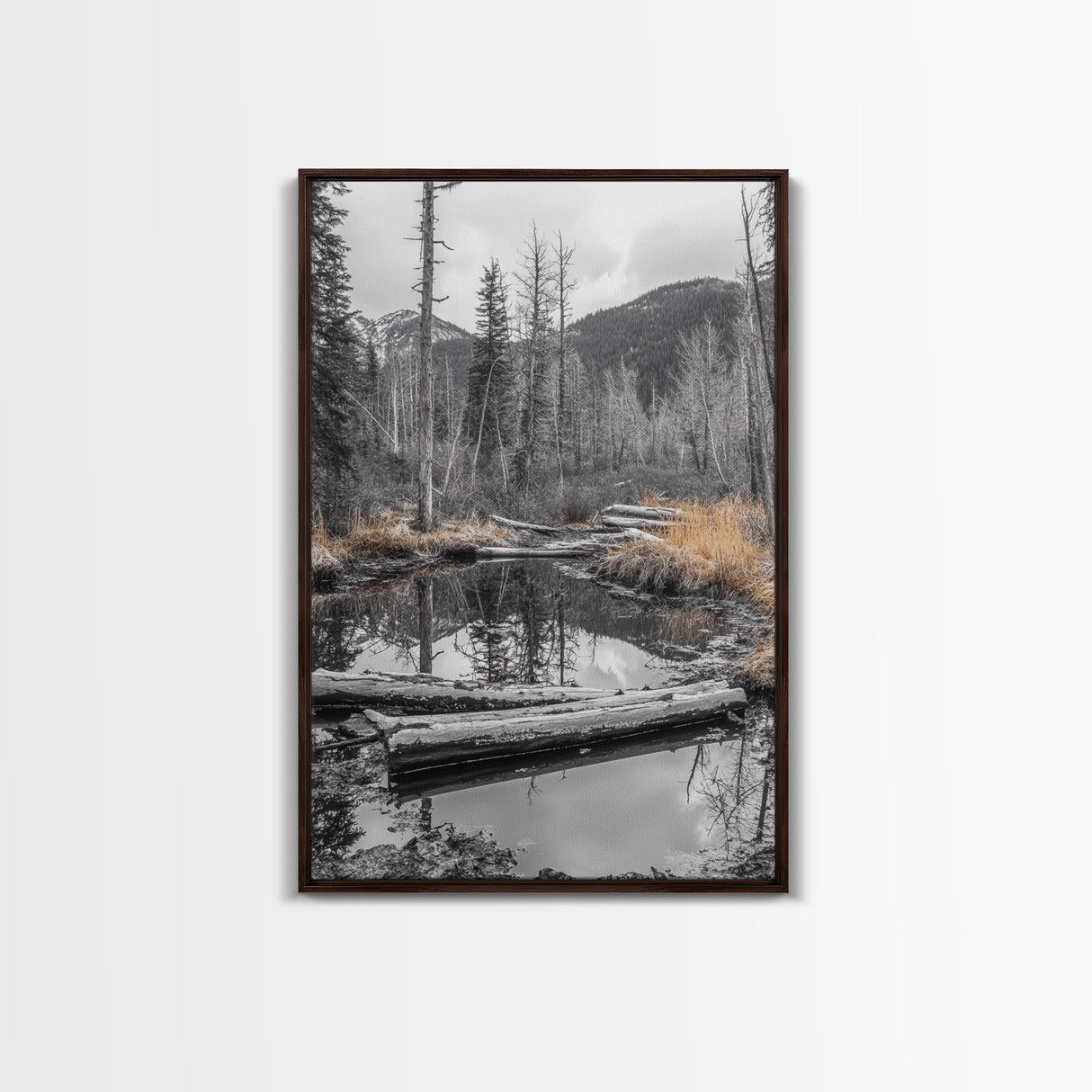 Forest Pond, Moody Woods, Black and White, Autumn Grass, Framed Canvas Print rustic cabin art, nature wall decor, woodland living room art