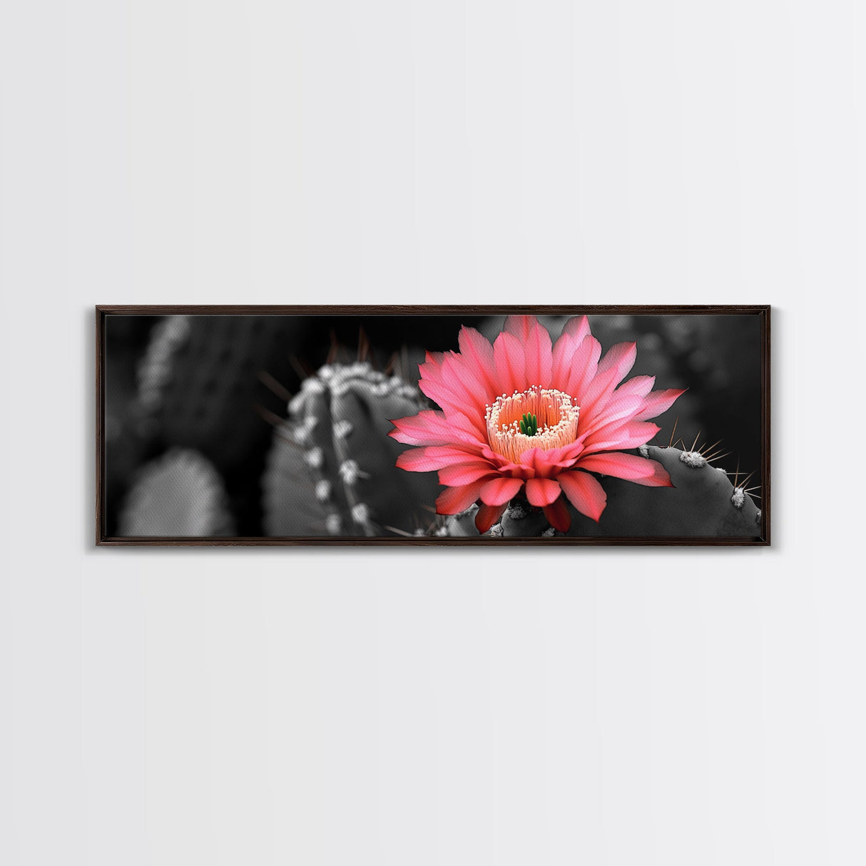 Desert Bloom, Cactus Flower, Vibrant Petals, Nature Beauty, Framed Canvas Print, Boho Wall Art, Living Room Decor, Pink Flower Photography
