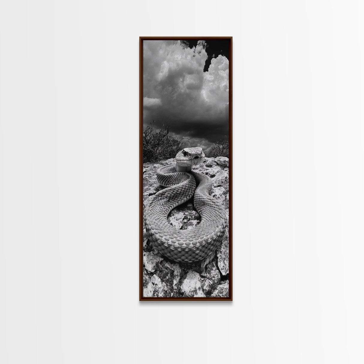 Rattlesnake Desert Art, Framed Canvas Print, southwest wall art, rustic decor, moody art, wildlife photography, cowboy aesthetic, gift idea