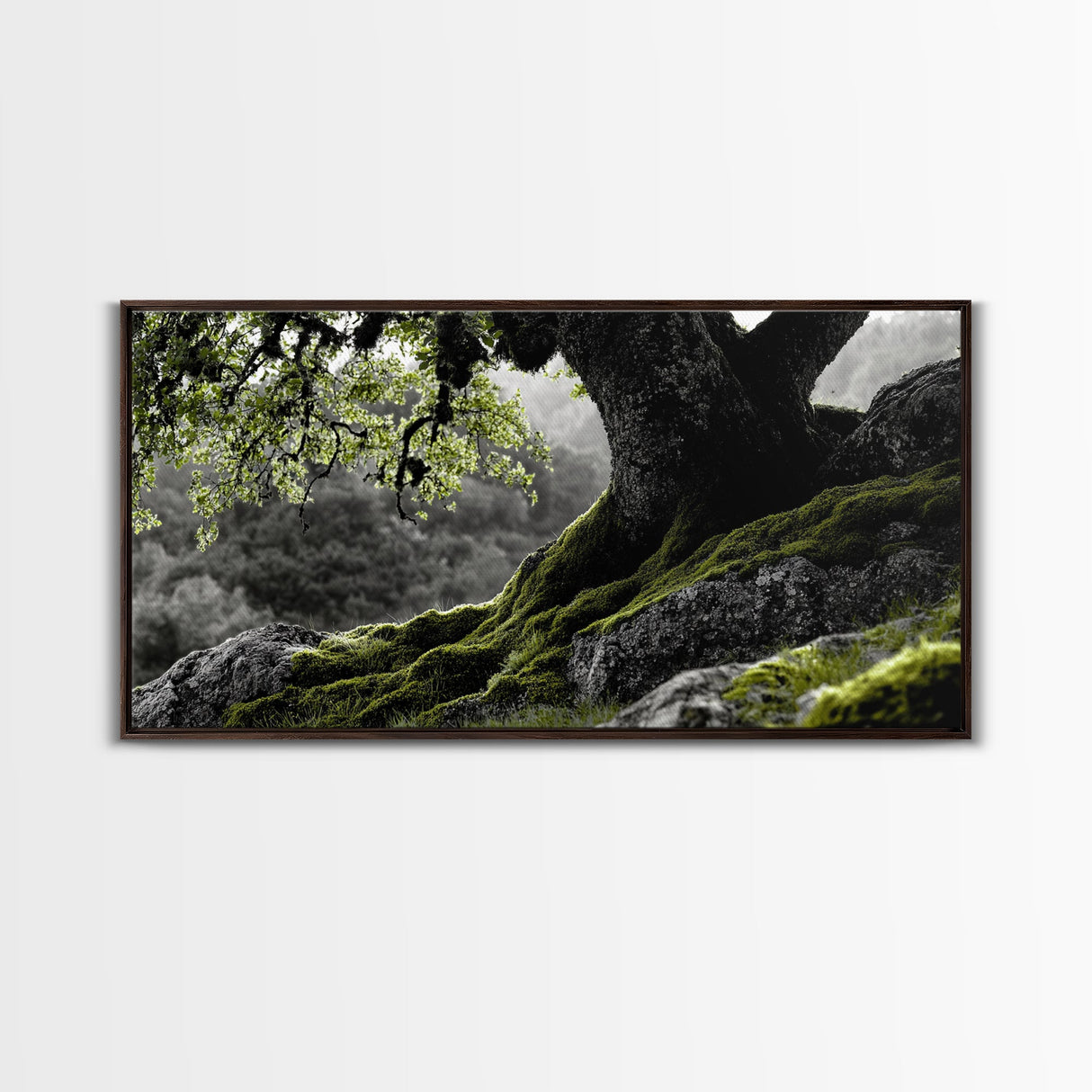 Mossy Oak Tree, oak tree art, nature wall art, rustic art, botanical prints, green wall art, extra wide art, Framed Canvas Print
