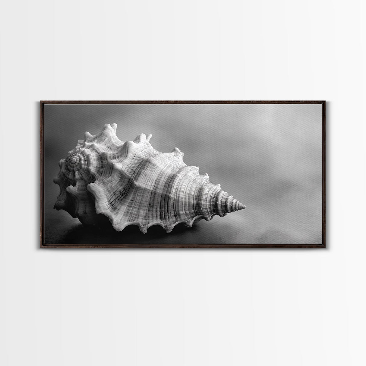 Sea Shell, Wabi Sabi Art, Coastal Decor, Minimalist Art, Nautical Wall Art, Moody Art, Extra Wide Art, Framed Canvas Print