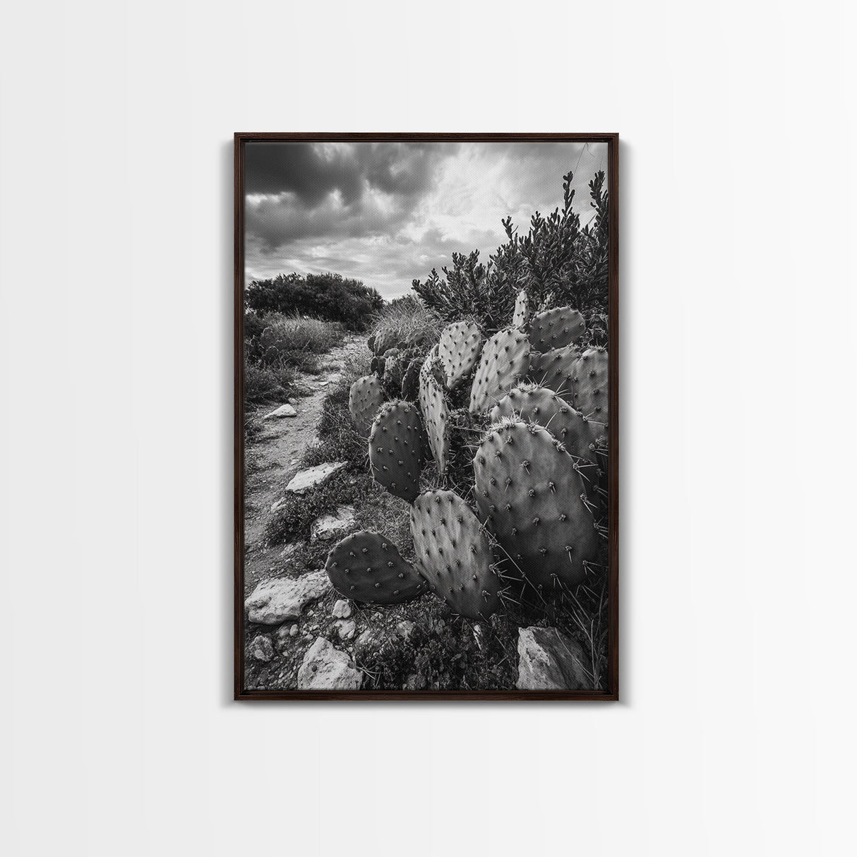 Cactus Trail, southwest wall art, rustic decor, desert painting, wabi sabi art, nature landscape art, framed canvas print, farmhouse decor