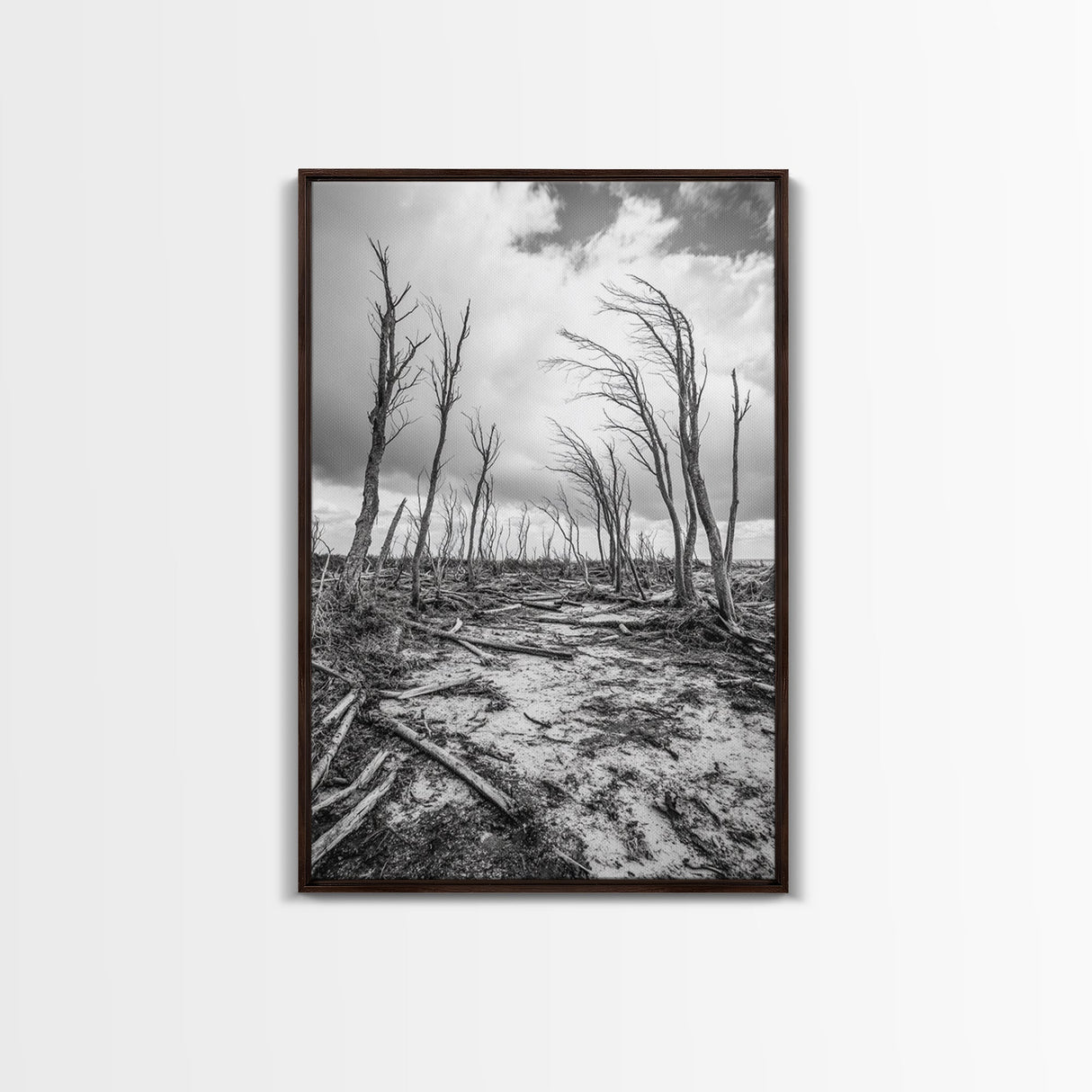 Windblown Trees, stormy sky, moody landscape, wabi sabi art, black and white, framed canvas print, rustic decor, nature photography