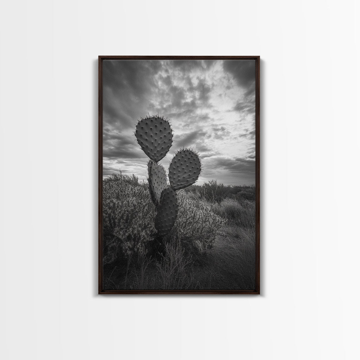 Prickly Pear, cactus art, Joshua tree art, wabi sabi art, moody art, black and white, framed canvas print, minimalist decor, rustic wall art