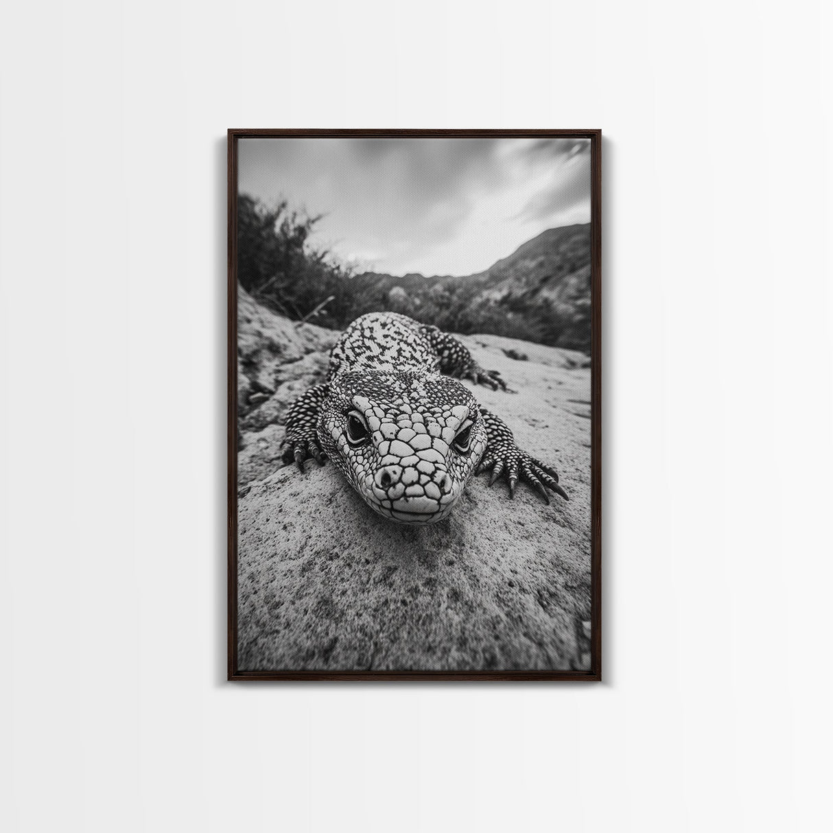 Lizard art, wildlife photography, moody art, desert decor, black and white photography, wabi sabi wall art, framed canvas print, unique gift