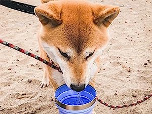 Tazón plegable de 1 cuarto de Hydaway