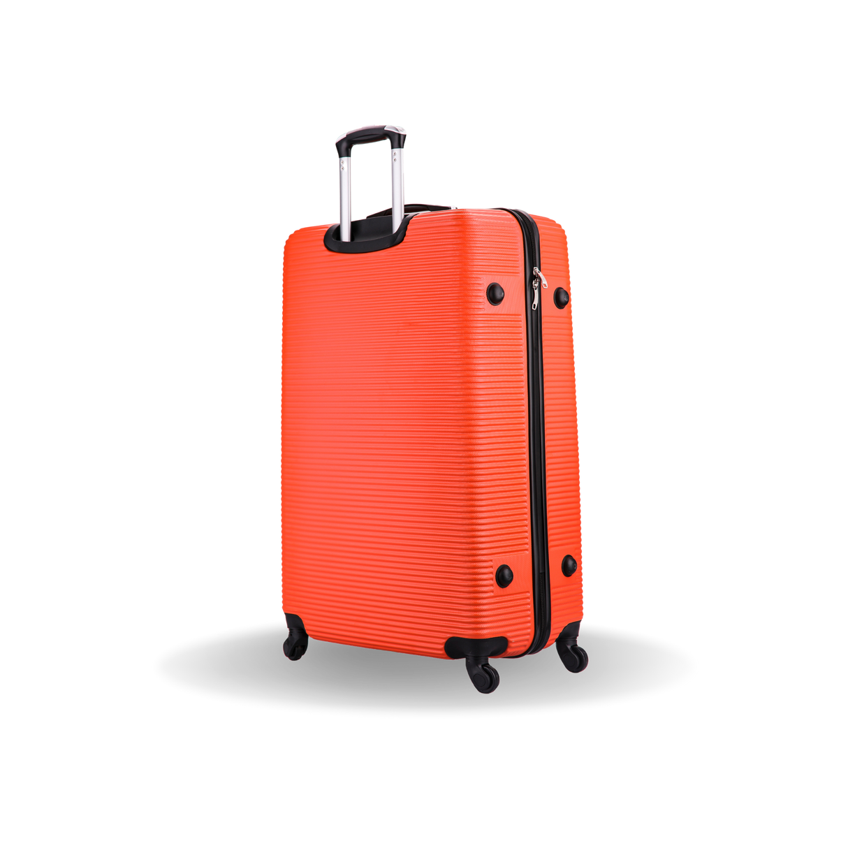 Royal Extra Large 32"