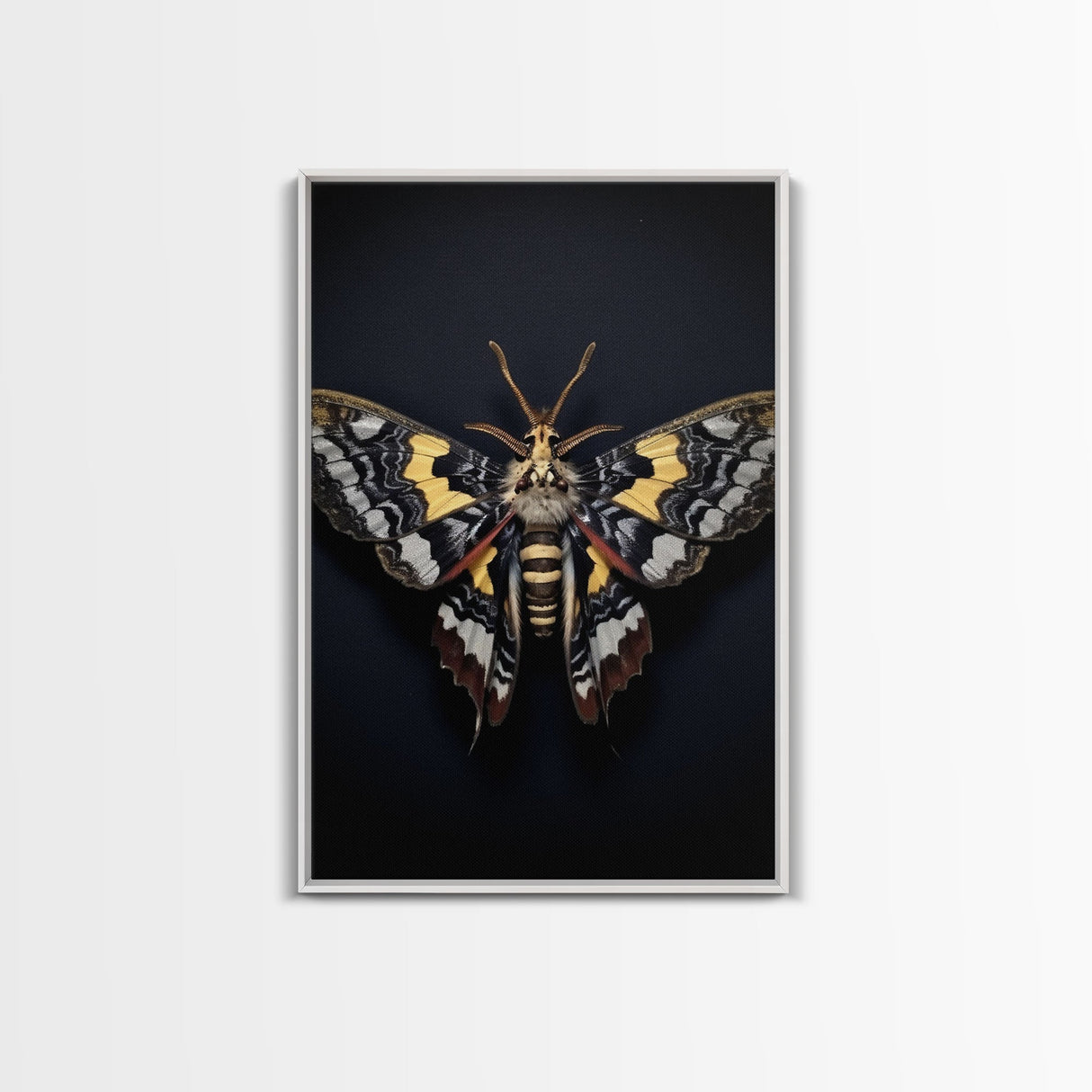 Framed Death Head Moth Canvas Print, Acherontia, Taxidermy Art, Dried Butterfly Print, Bug Wall Art Hanging Decor, Goth Art, Halloween Art