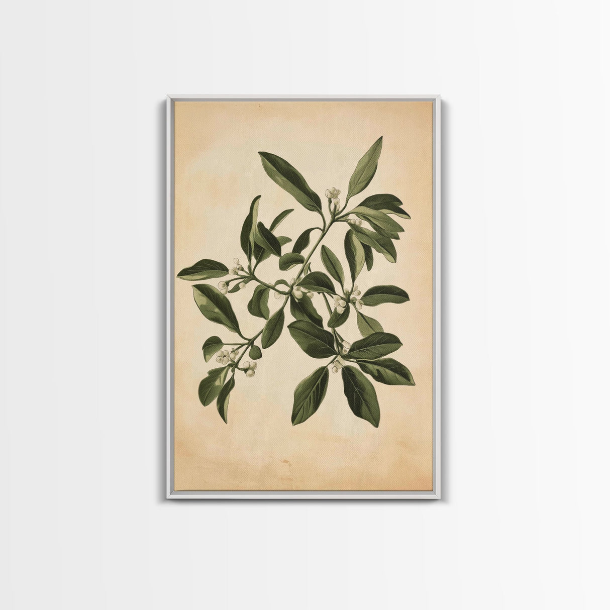 Mistletoe Canvas Print - Framed Canvas - Minimalist Christmas Art - Boho Christmas Art - Rustic Christmas Art