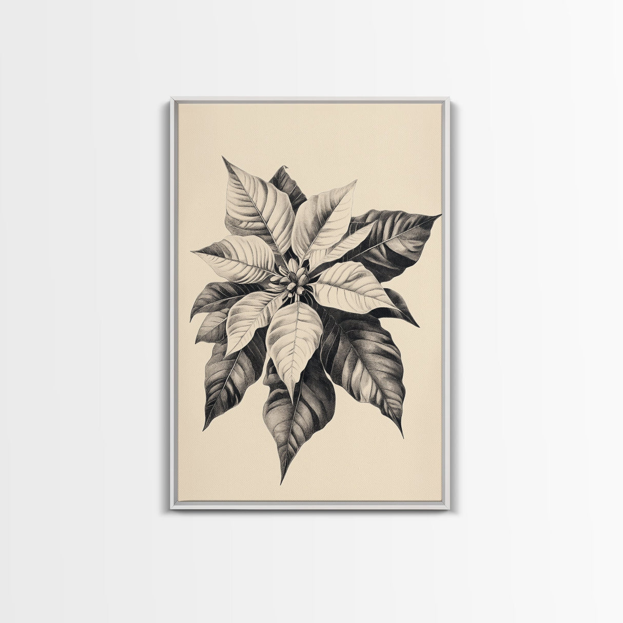 Poinsetta Canvas Print - Framed Canvas - Minimalist Christmas Art - Boho Christmas Art - Rustic Christmas Art