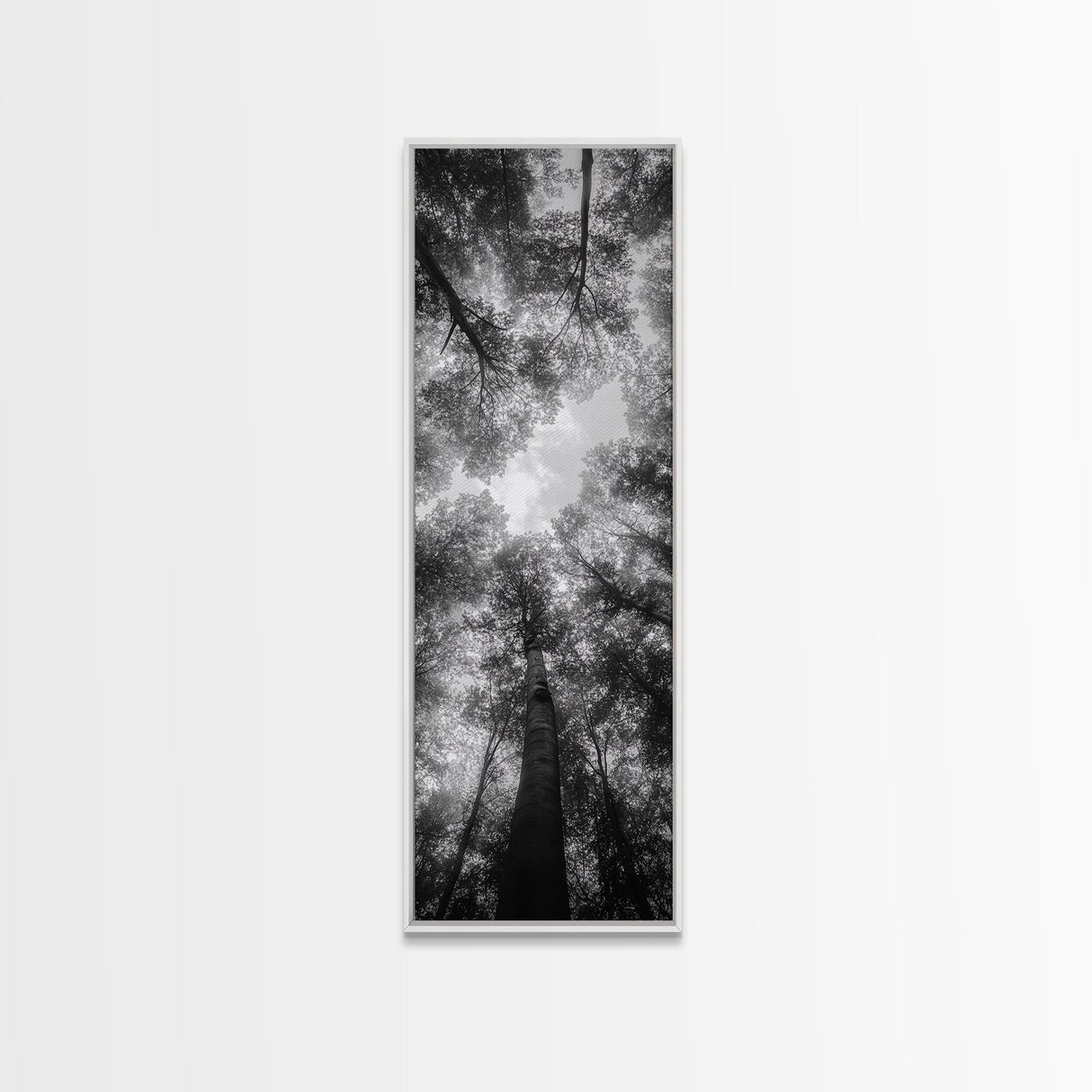 Forest Canopy, Nature Perspective, Tranquil Trees, Black and White, Framed Canvas Print, Cabin Wall Art, Scandinavian Decor, Minimalist Style
