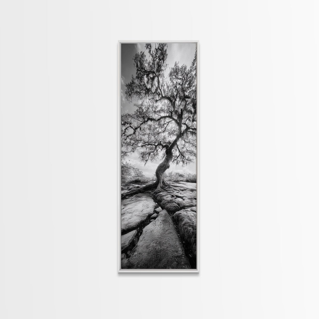 Wisdom Oak Tree, Forest Roots, Ancient Energy, Framed Canvas Print, Rustic Living Room Wall Art, Nature Inspired, Boho Woodland Art
