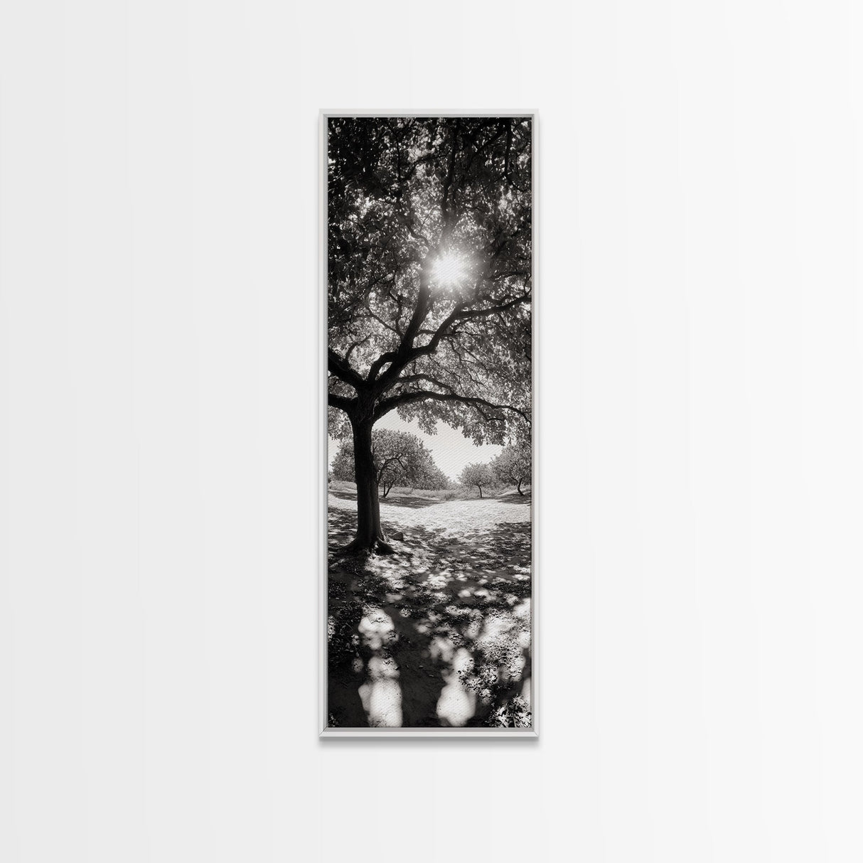 Sunlight Tree, Autumn Glow, Nature Shadowplay, Black White Forest Scene, Canvas Print, Fall Living Room Art, Boho Earthy Wall Decor