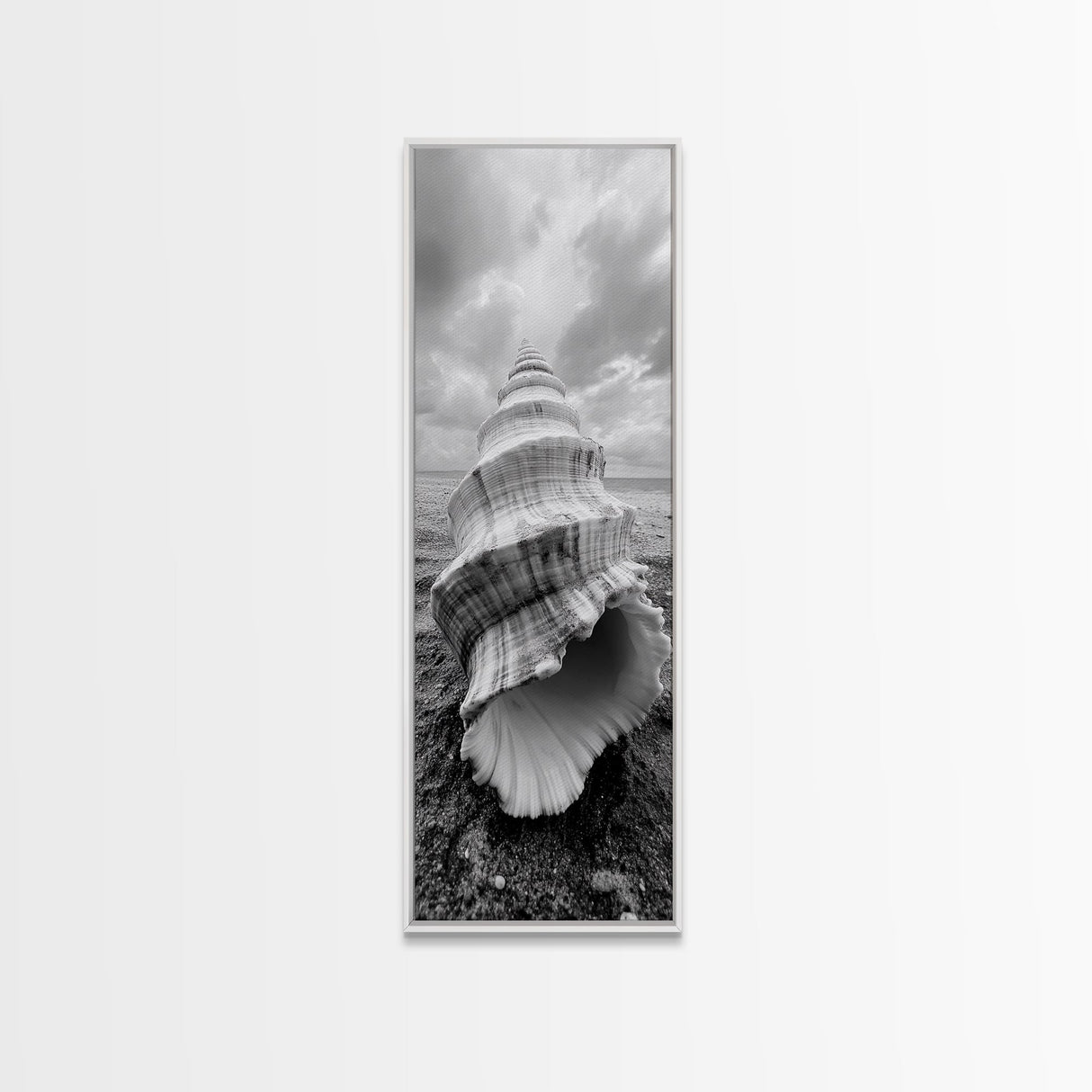 Shell Closeup, Ocean Texture, Natural Spiral, Minimalist Shell, Seashell Photography Framed Canvas Print, Coastal Kitchen Wall Art