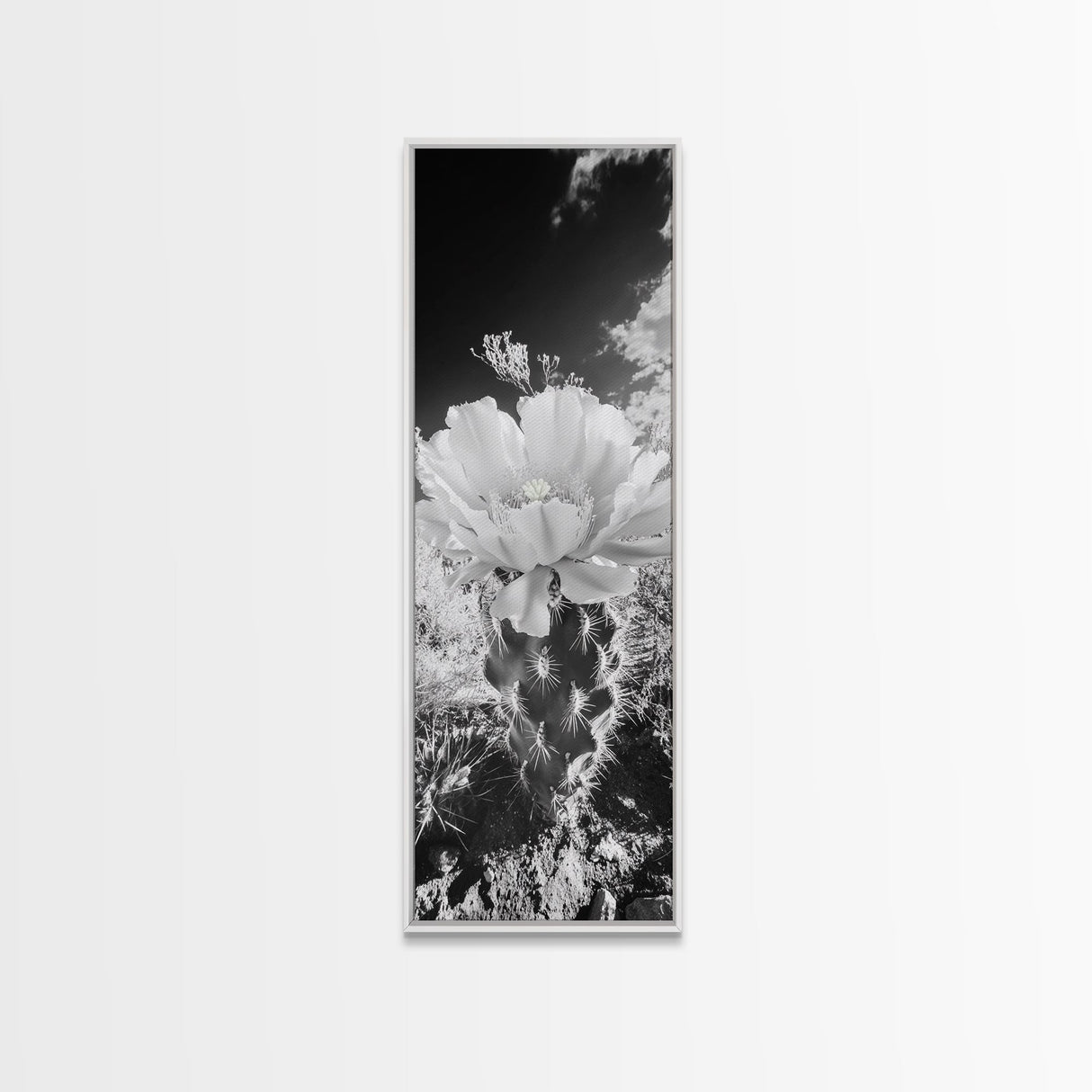 Desert Bloom Cactus, Southwest Art, Nature Floral Print, Cactus Photography, Framed Canvas Print, Kitchen Wall Art, Boho Wall Decor