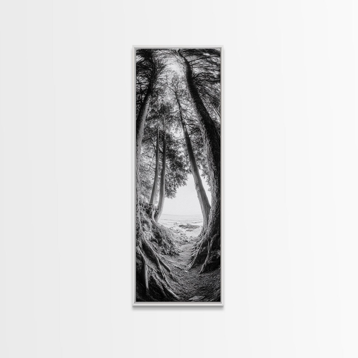 Forest Path, Ocean View, Tall Trees, Canvas Print, Black and White Nature Art, Entryway Wall Art, Rustic Woodland Aesthetic, Bedroom Wall Art