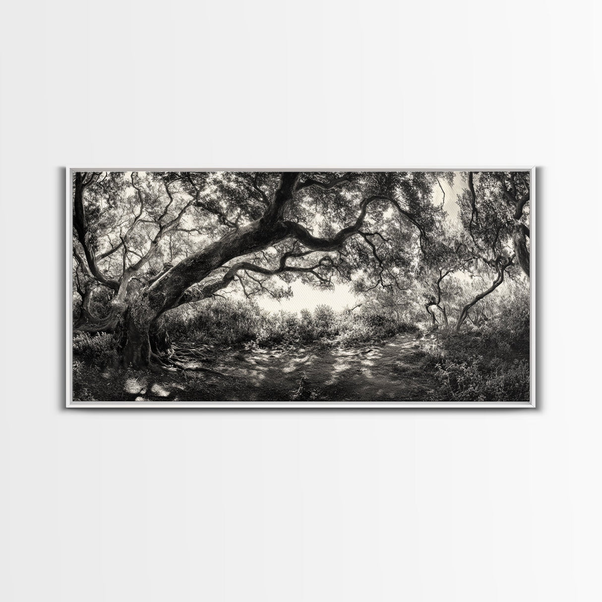 Twisted Forest Canopy, Ancient Trees, Mystical Woodland, Canvas Print, Boho Living Room Art, Black and White Nature Print, Cabin Decor