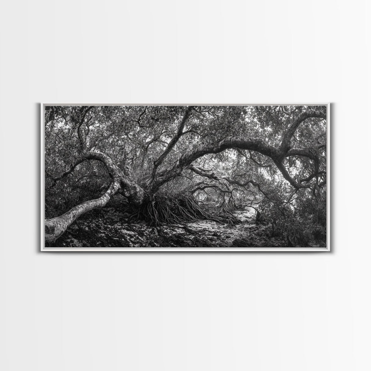 Mangrove Roots, Twisted Forest, Wild Nature, Moody Jungle, Framed Canvas Print, Rustic Living Room Art, Woodland Decor, Boho Vibes