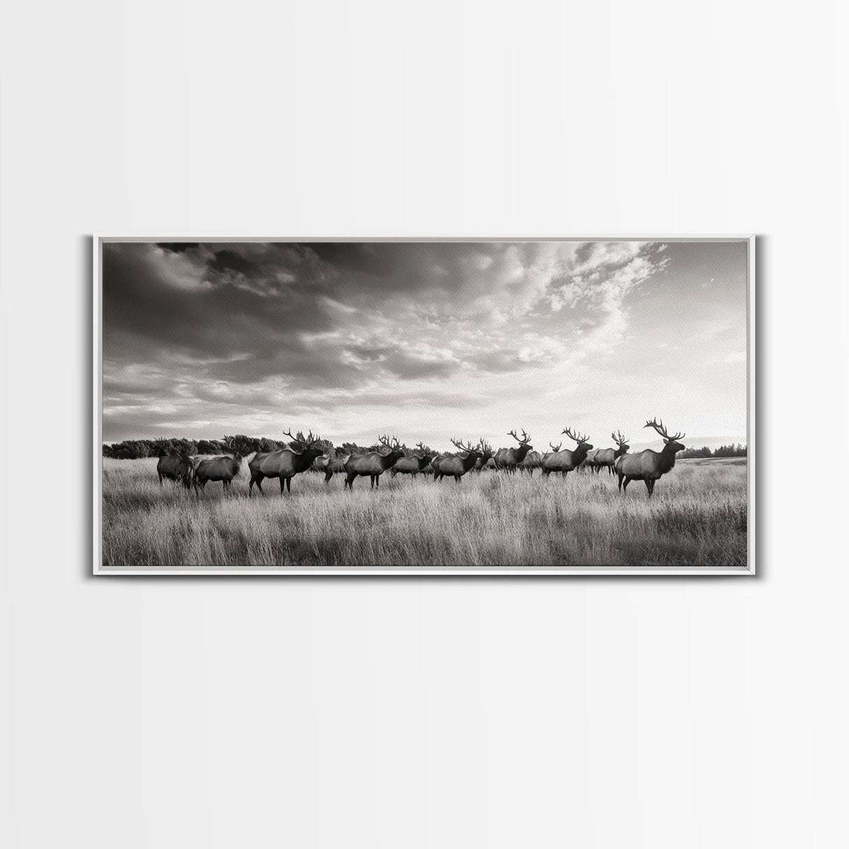 Elk Herd, Prairie Wildlife, Autumn Nature, Rustic Landscape, Framed Canvas Print, Western Wall Decor, Cabin Art, Living Room Print