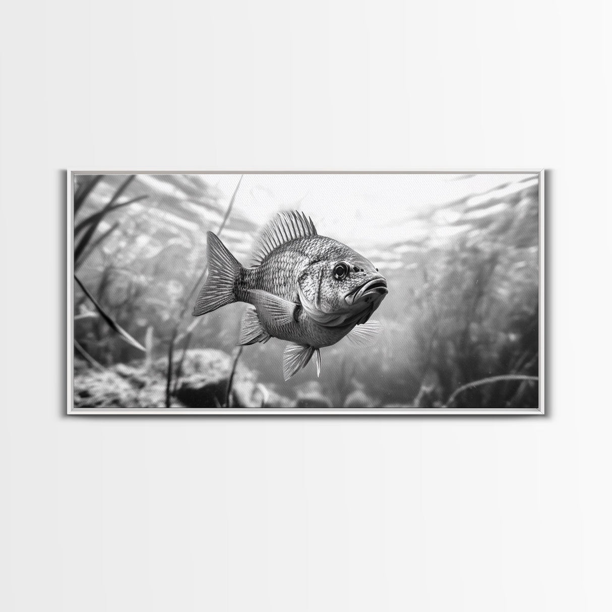 Underwater Fish, Nature Photography, Lake Life Scene, Freshwater Animal, Framed Canvas Print, Bathroom Wall Art, Minimalist Decor