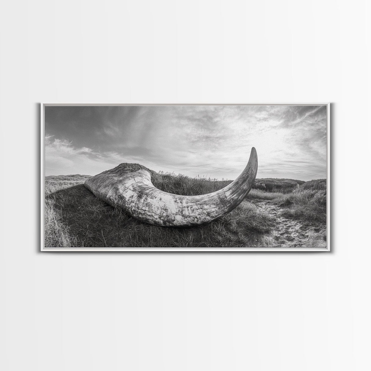Driftwood Horn Curve, Coastal Nature Art, Whale Bone Decor, Beachside Minimalism, Canvas Print, Entryway Wall Art, Nautical Rustic Decor