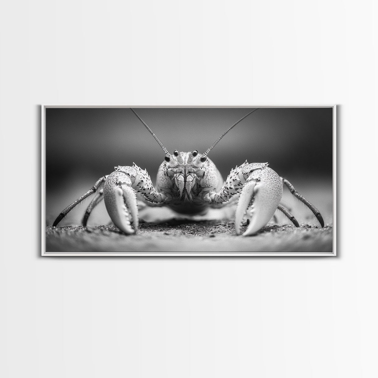 Hermit Crab, Close-Up, Ocean Creature, Monochrome Nature, Framed Canvas Print, Marine Wall Decor, Coastal Kitchen Wall Art, Entryway Accent
