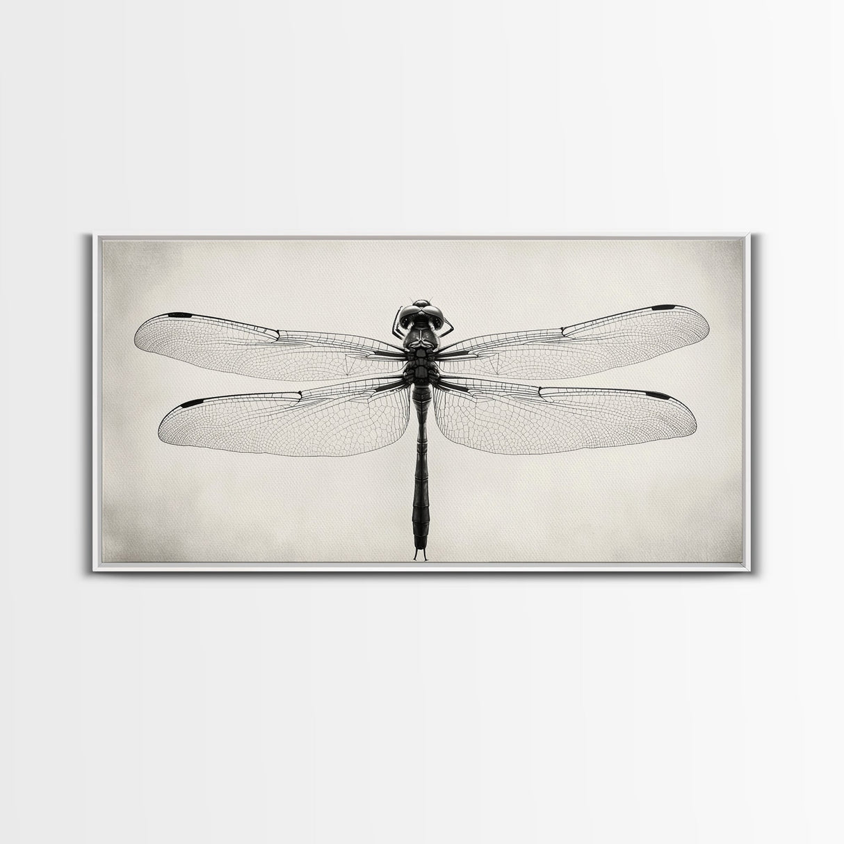 Dragonfly Sketch, Insect Art Print, Botanical Illustration, Minimalist Natural History, Framed Canvas Print, Office or Study Wall Art