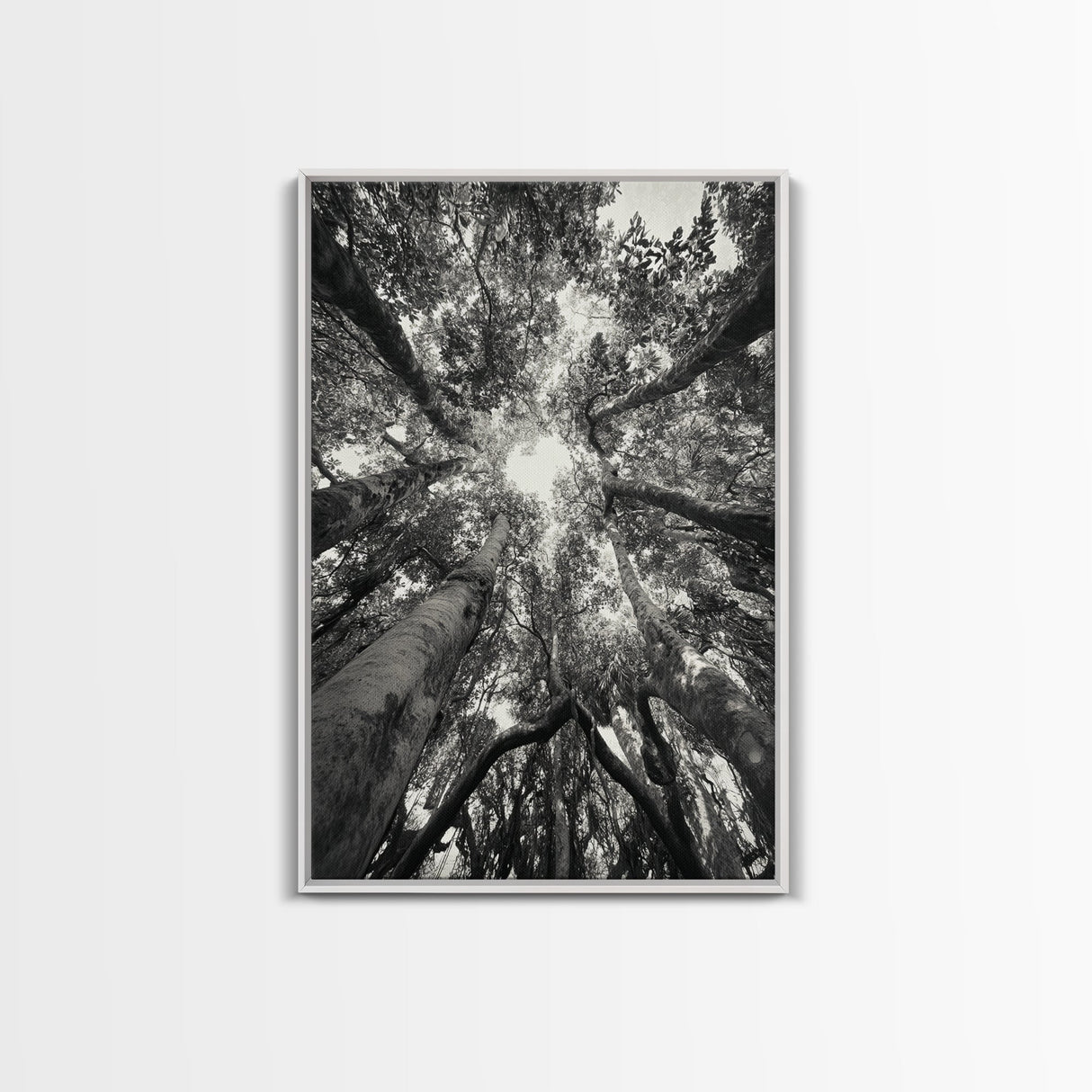 Tree Canopy, Forest Light, Upward View, Canvas Print, Woodland Wall Art, Living Room Decor, Nature Perspective Photography