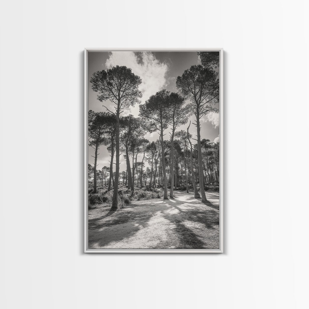 Forest Shadows, Tall Pines, Natural Light, Framed Canvas Print, woodland landscape, rustic cabin decor, autumn forest art