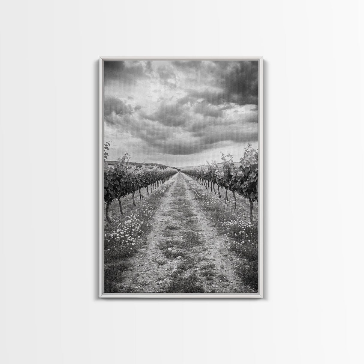 Vineyard Rows, Cloudy Skies, Countryside Path, Canvas Print, Farmhouse Wall Art, Kitchen or Dining Decor, Rustic Landscape Photo