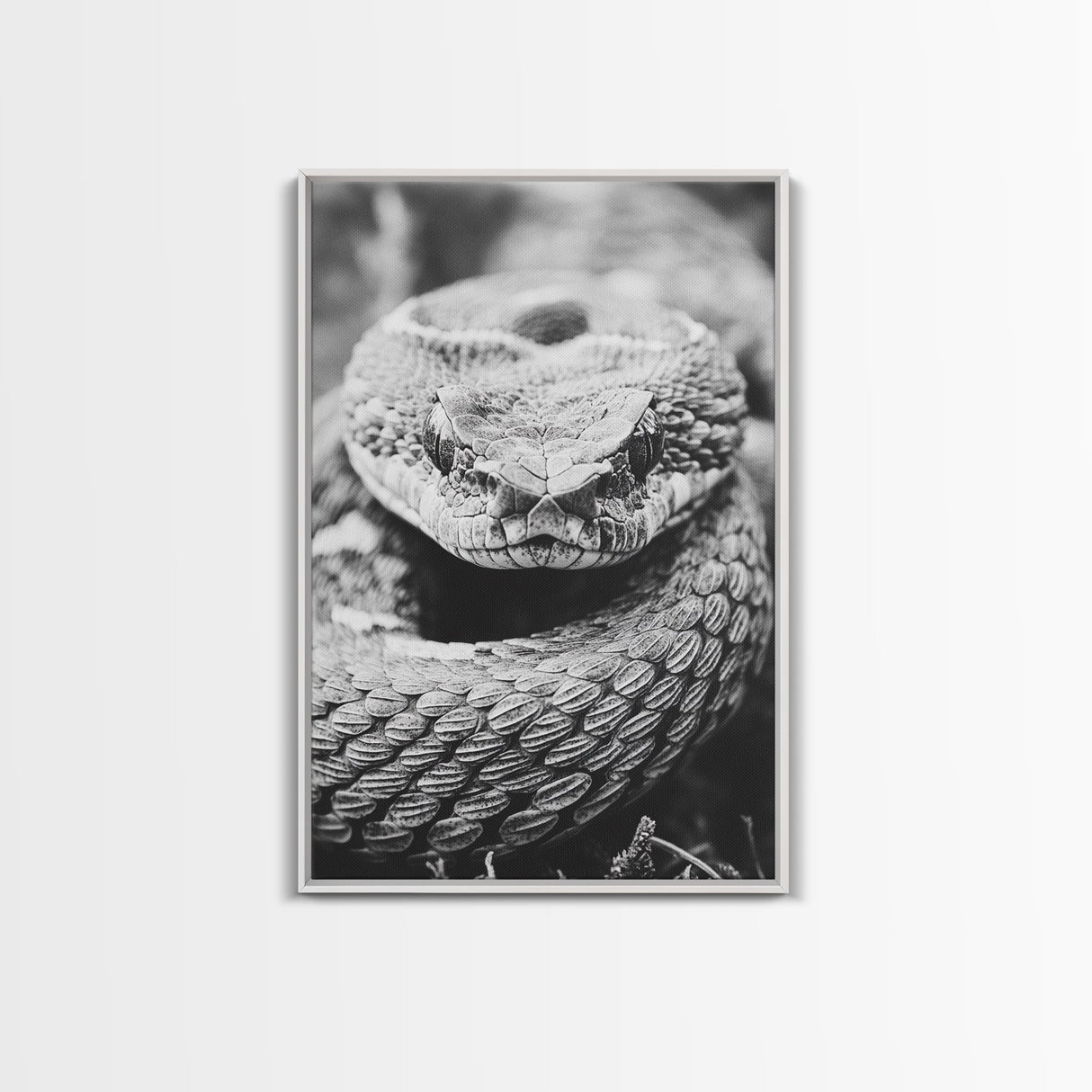 Rattlesnake Face, Coiled Closeup, Venomous Gaze, Canvas Print, Macro Wildlife Wall Art, Reptile Decor, Intense Black White Photography