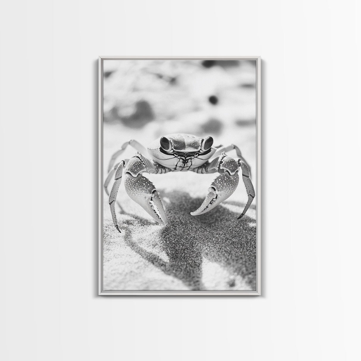 Sand Crab, Beach Macro, Ocean Critter Art, Framed Canvas Print, Coastal Bathroom Decor, Beach House Wall Art, Nature Close-Up