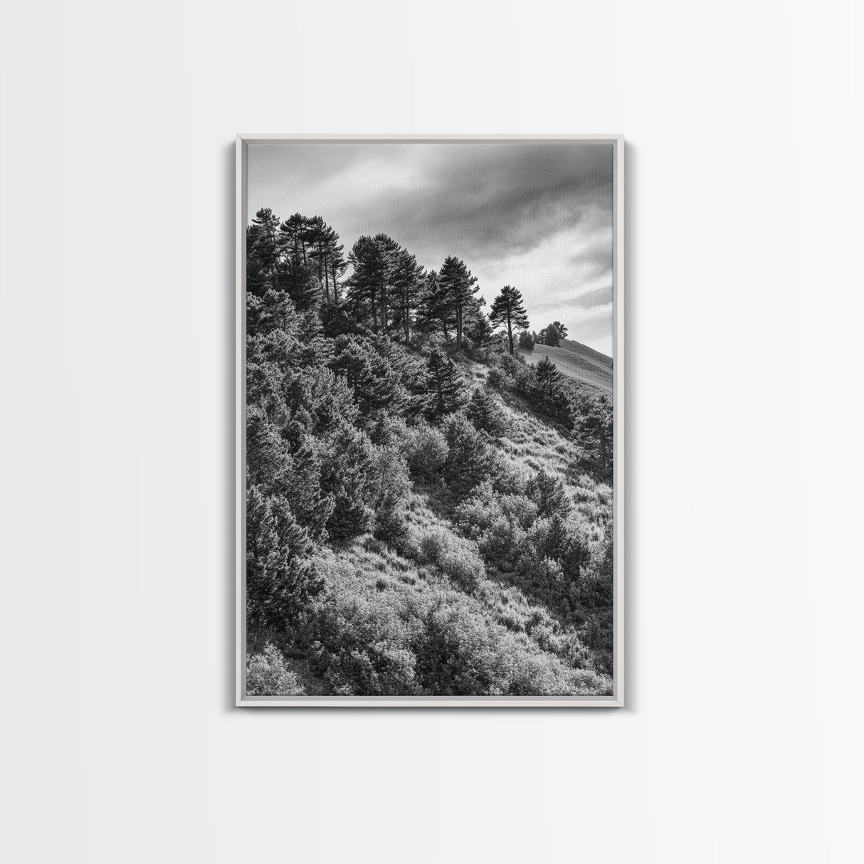 Hillside Forest, Peaceful Pines, Mountain Light, Framed Canvas Print, Nature Wall Art, Cabin Decor, Woodland Landscape Scene