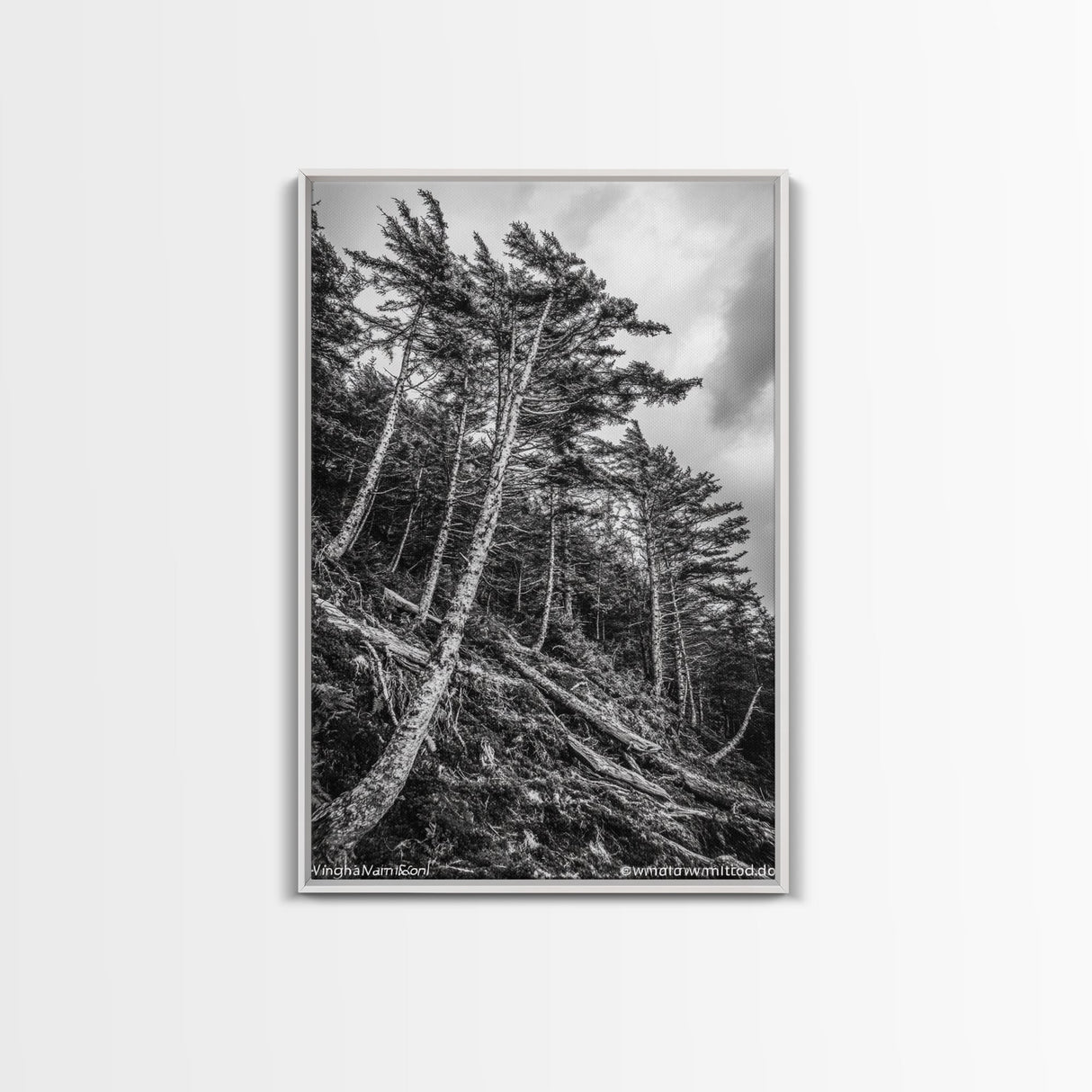 Windy Pines, Forest Landscape, Nature Photography, Framed Canvas Print, Rustic Wall Art, Cabin Decor, Minimalist Art, Fall Home Style